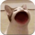 Pop cat meme游戲最新手機(jī)版