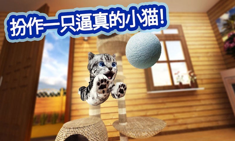 迷你小貓城市生存手機游戲安卓版截圖4