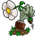 pvzlzsc游戲安卓最新版