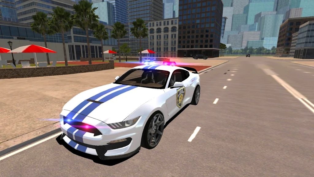 野馬警車駕駛游戲中文手機版2021截圖4