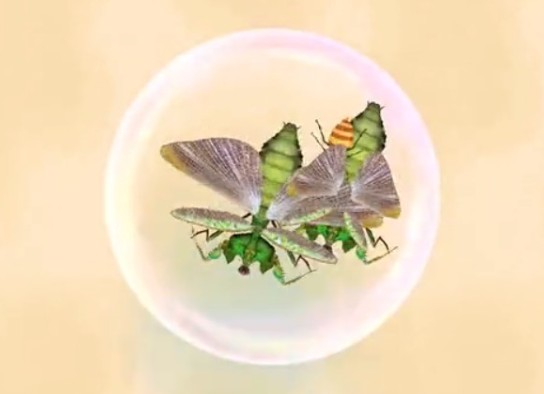召喚神鳳鏈接入口 召喚神鳳小游戲在哪里玩