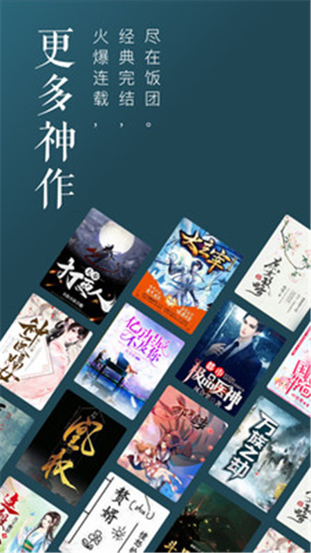 飯團追書蘋果版ios版截圖3