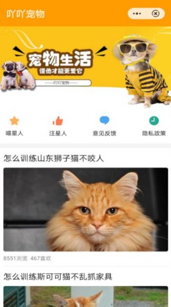 吖吖寵物百科知識app版截圖1