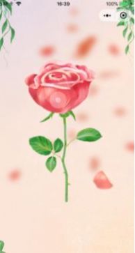 抖音花瓣告訴我做決定小程序app截圖2
