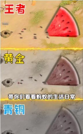 蟻?zhàn)遽绕鹜ピ簯?zhàn)爭(zhēng)手游截圖4