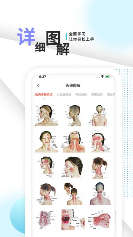 人體解剖學(xué)習(xí)app版截圖2