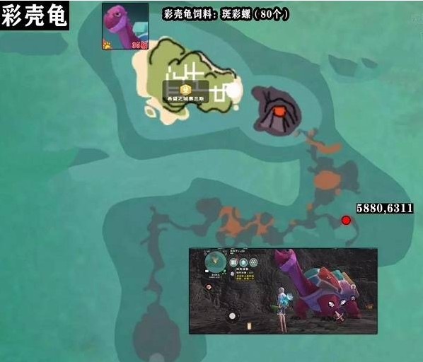 創(chuàng)造與魔法彩殼龜在哪？彩殼龜位置分布圖攻略