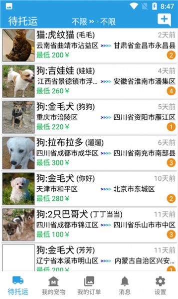 寵物運(yùn)輸托運(yùn)app版截圖2