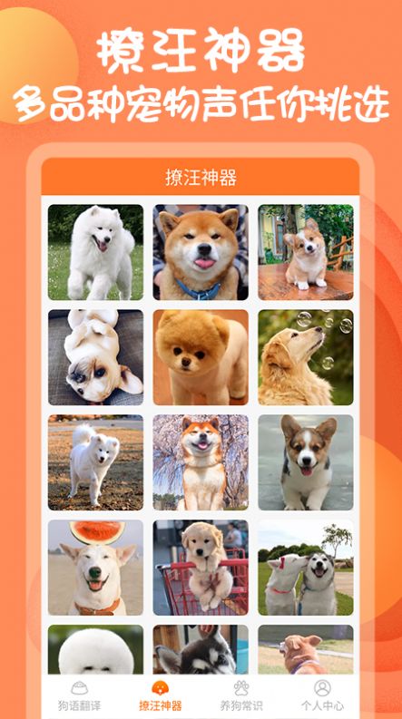 狗與翻譯器App安卓版截圖1