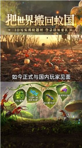 蟻?zhàn)蹇倓?dòng)員手游最新版截圖3