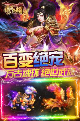 勇者榮耀魂環(huán)攻速版手游下載安裝截圖1