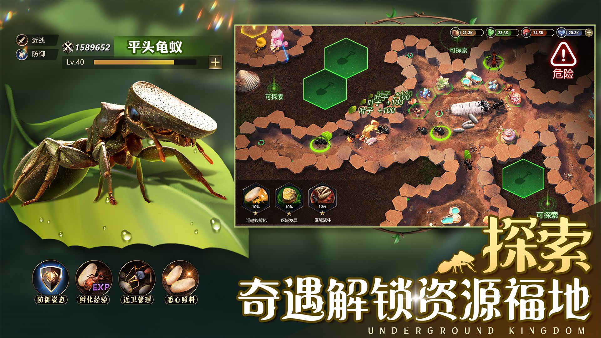 小小蟻國螞蟻模擬器游戲手機版截圖5
