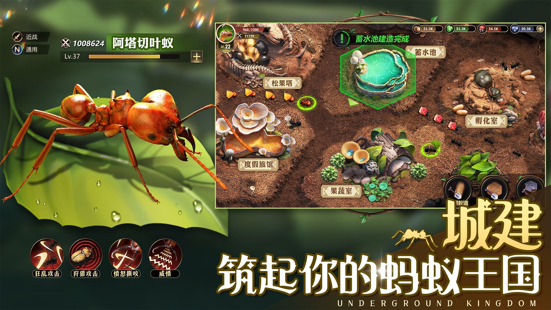 小小蟻國螞蟻模擬器游戲手機版截圖1