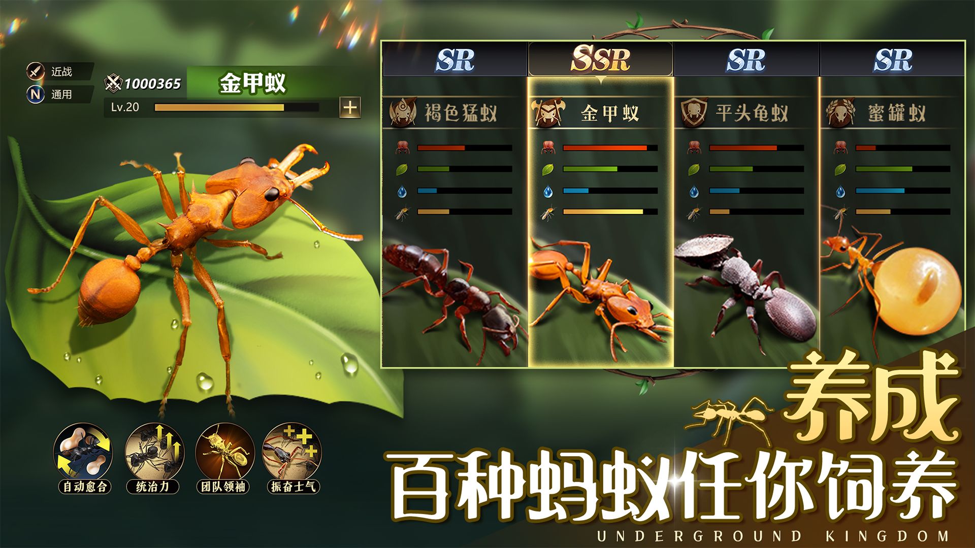 小小蟻國螞蟻模擬器游戲手機版截圖3