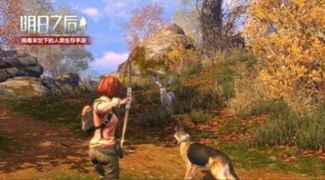 alhzcc阿浪國(guó)際服畫質(zhì)助手2.2最新版截圖3