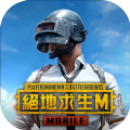 MaxFpsPUBGMobile最新版