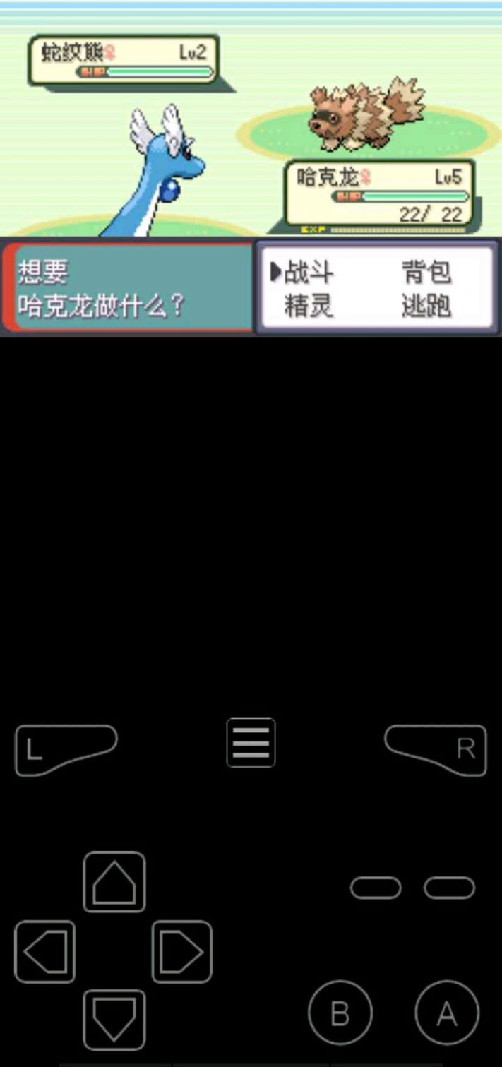 口袋妖怪荒蕪世界最終作重制版金手指漢化手機版截圖3