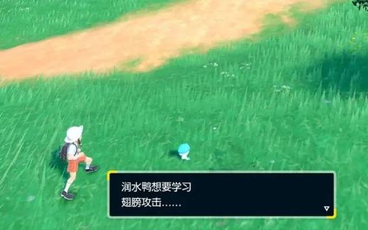 寶可夢朱紫怎么重新開始 重新開始游戲方法介紹