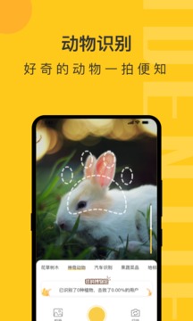 拍照識(shí)物精靈軟件安卓版截圖1