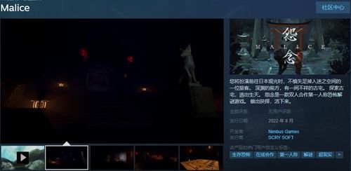 怨念malice同屏嗎    怨念malice雙人同屏聯(lián)機(jī)教程[多圖]圖片2