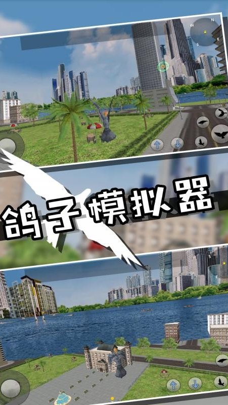 野生鴿子模擬器3d中文最新版下載截圖4