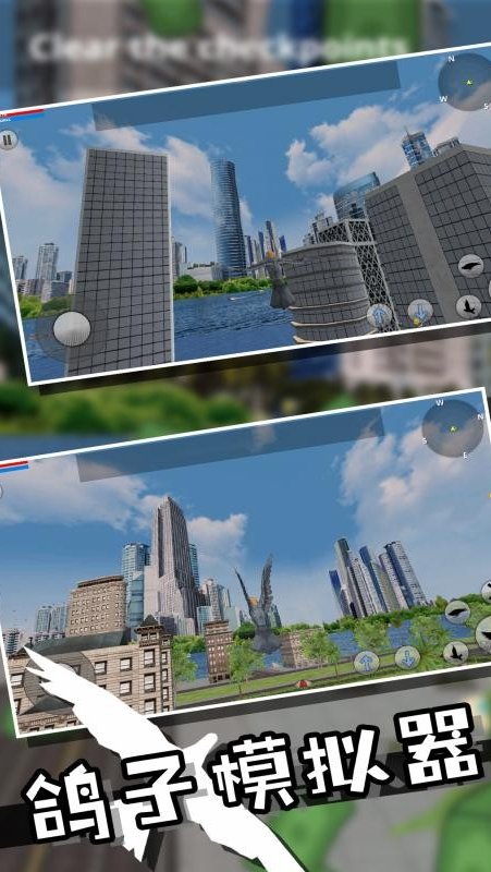 野生鴿子模擬器3d中文最新版下載截圖3