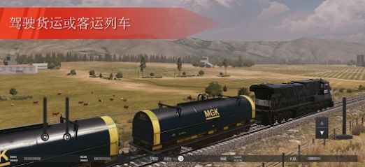 美國火車模擬專業(yè)版游戲中文手機版截圖4
