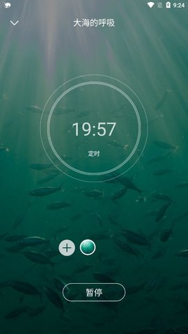 輕松白噪音音樂(lè)APP版截圖1