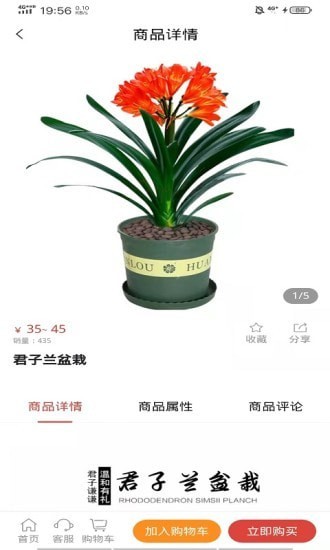 晟譽(yù)盈鮮花商城APP版截圖4