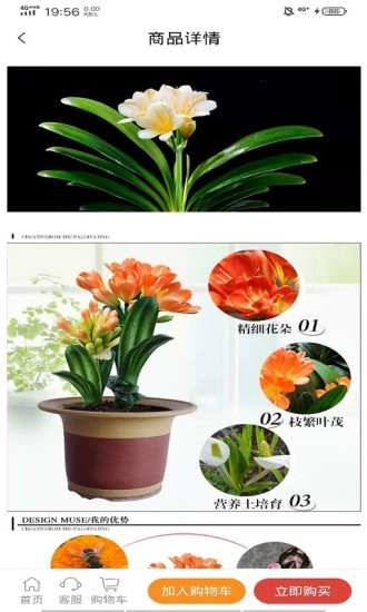 晟譽(yù)盈鮮花商城APP版截圖2