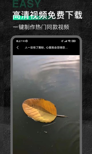 今日素材app正版截圖2