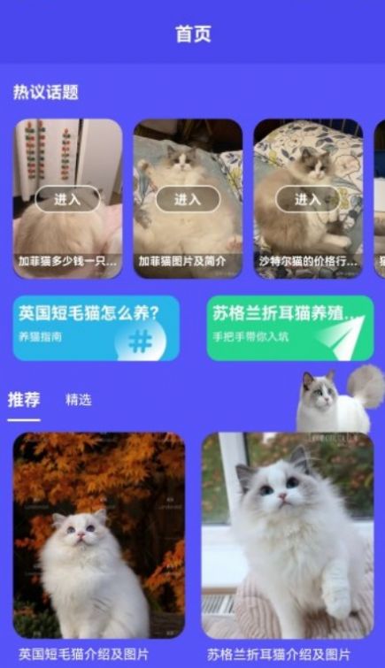 小奶貓呀寵物社區(qū)app安卓版截圖1
