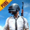 绝地求生(国际服)下载pubg正版