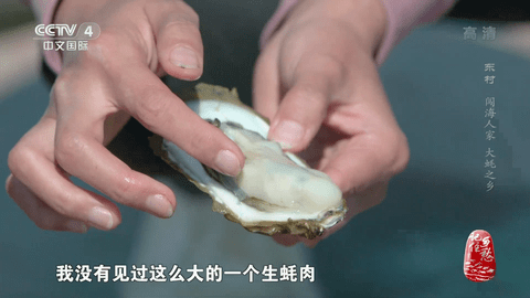 龍騰TV播放器APP最新版截圖5
