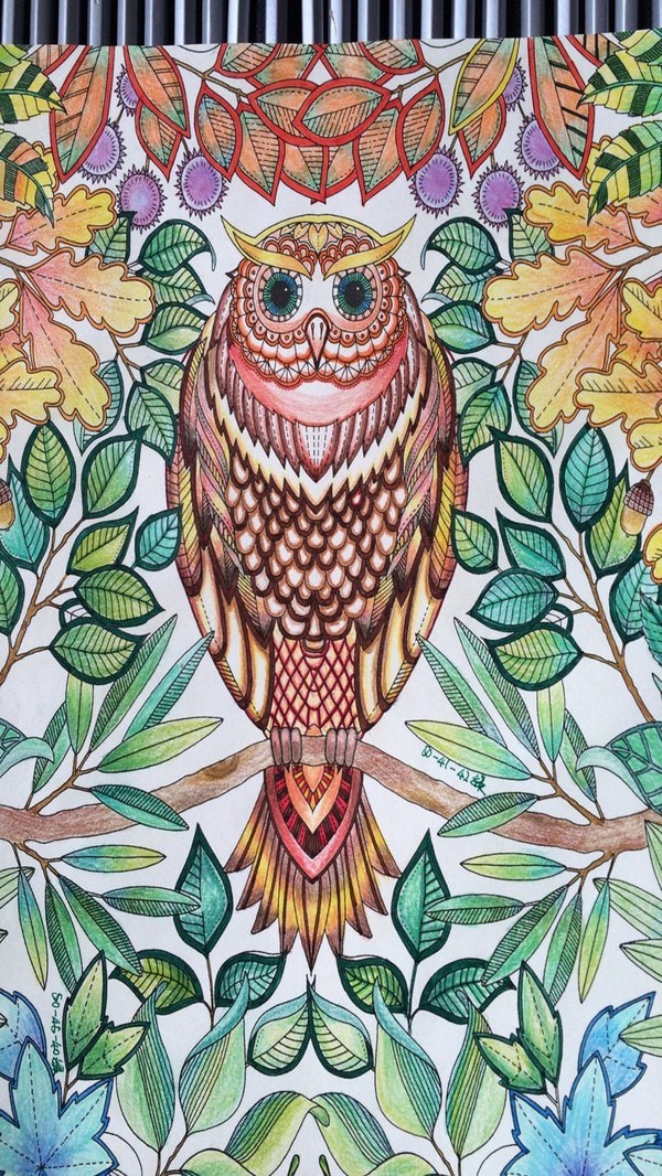 涂色世界游戲版截圖1