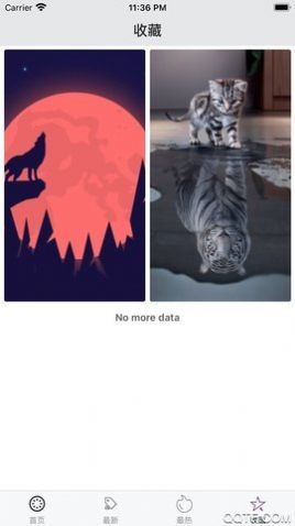 百變桌面壁紙app安卓版截圖1