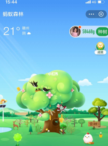 支付寶種樹獎勵道具怎么獲得？螞蟻森林種樹獎勵道具獲取攻略