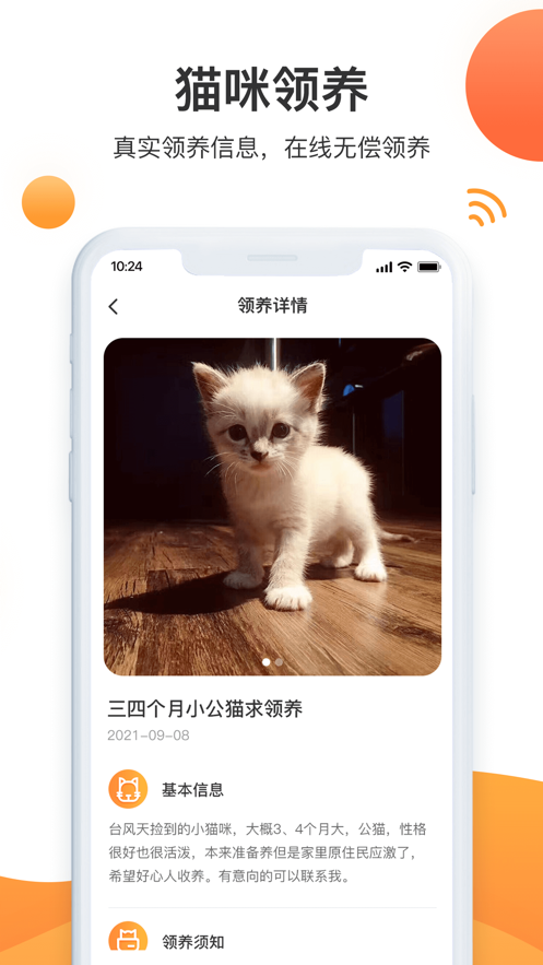 閃電世界短視頻首碼下載內(nèi)測版截圖2
