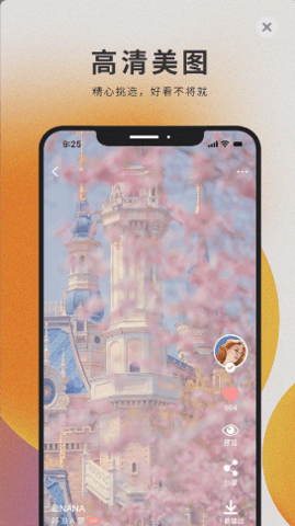 萌猫壁纸手机高清壁纸图片大全APP下载截图2: