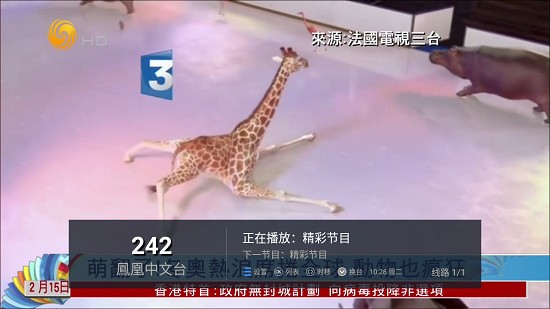 水星tv電視直播2022最新版本下載截圖5