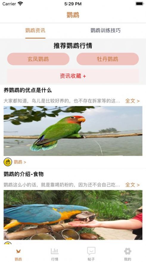 清萌鹦鹉资讯app客户端截图2: