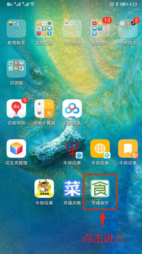 靈魂食療養(yǎng)生app手機(jī)版截圖4
