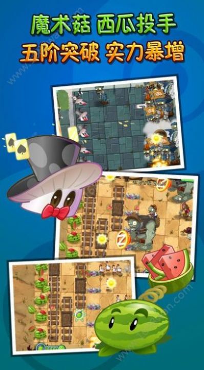 pvz雷游戲最新改版截圖4