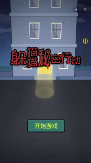 躲貓貓秘密行動游戲正版下載免廣告截圖3