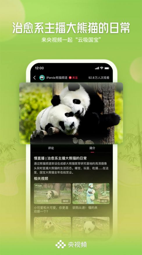 央視頻tv版下載客戶端截圖3