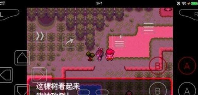 口袋妖怪究極綠寶石5.3一周目攻略：5.3一周目圖文完整版[多圖]圖片5