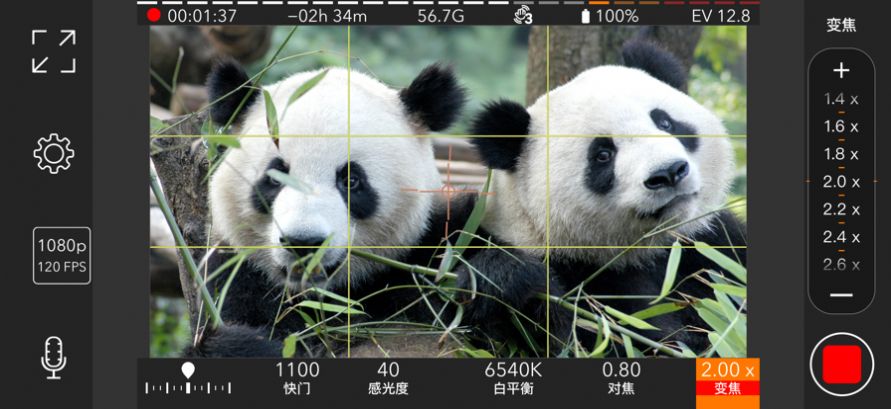 promovie免費下載安卓app最新版截圖1