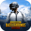 PUBGMOBILE测试服下载最新版