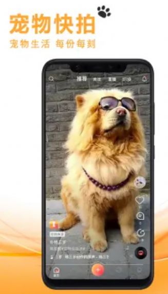 寵友社交app最新版截圖2