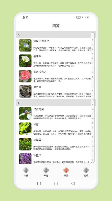植物識(shí)別百科掃描APP最新版截圖3
